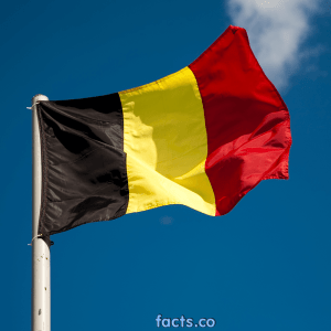 belgiumflagpicture5