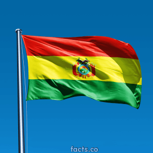 BoliviaFlagPicture1.png