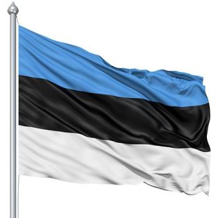 e37bf2f852f213e00d617807725194da--estonia-flag-color-meanings.jpg